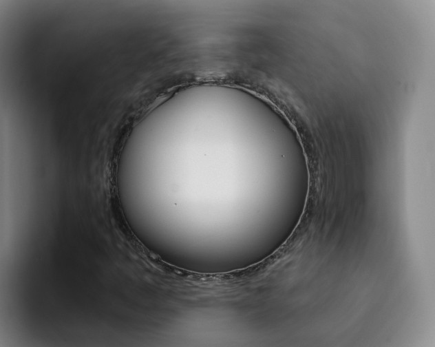 X0000093111445200709260937