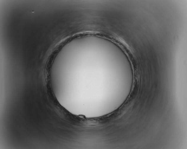 X0000093111448200709260937
