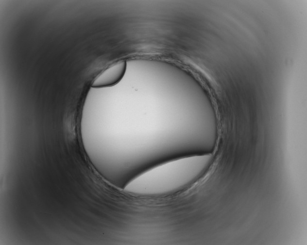 X0000093111451200709260937