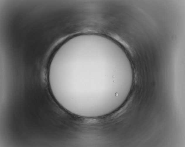 X0000093111454200709260937