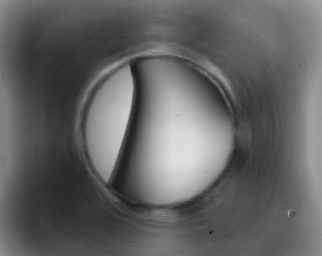 X0000093111464200709260937