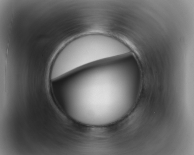 X0000093111469200709260937