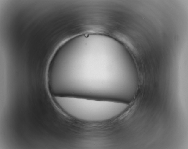X0000093111471200709260937