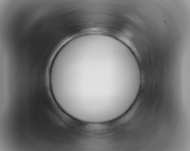 X0000093111474200709260937