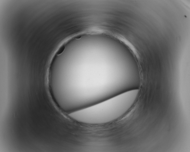 X0000093111477200709260937