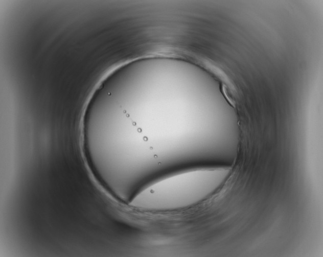 X0000093111479200709260937