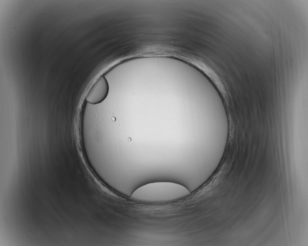 X0000093111486200709260936