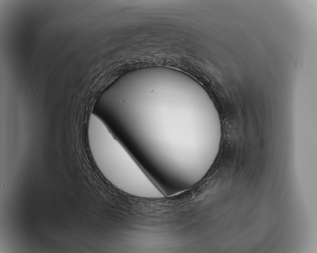 X0000093111489200709260936