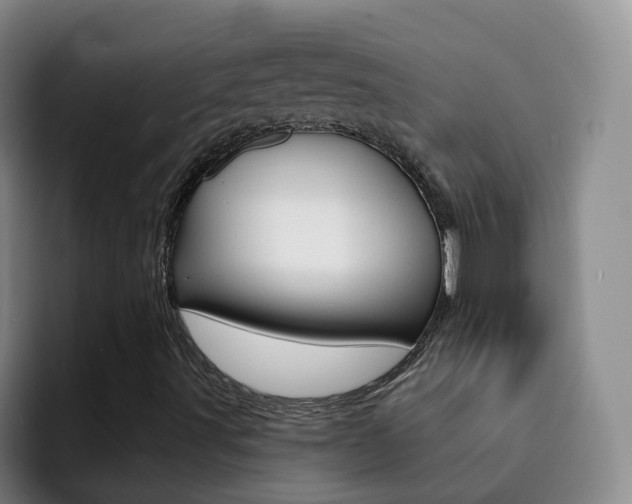 X0000093111491200709260936