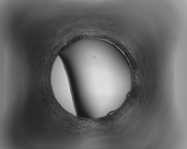 X0000093111493200709260936