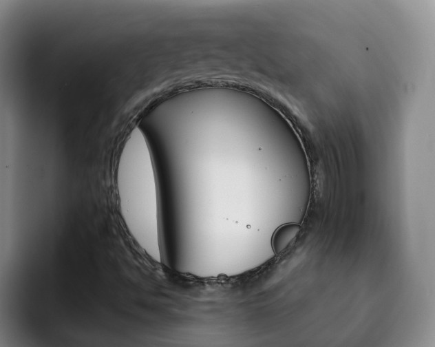 X0000093111494200709260936