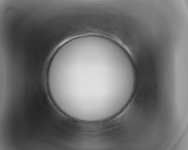 X0000093111500200709260936