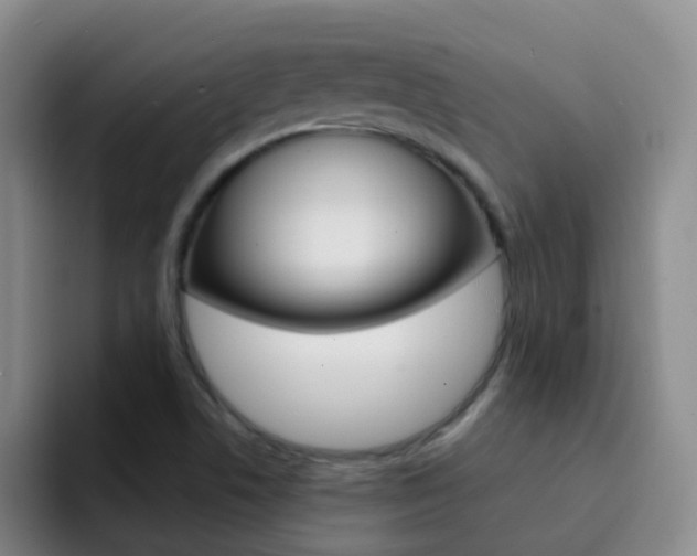 X0000093111506200709260936