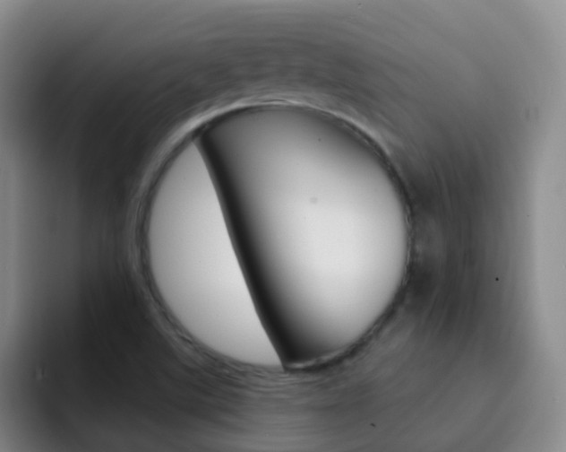 X0000093111507200709260936