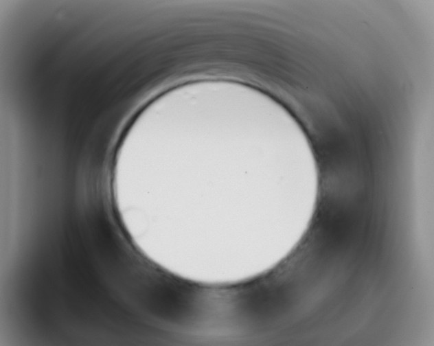 X0000093111514200709260936