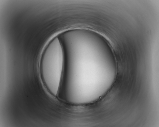 X0000093111515200709260936