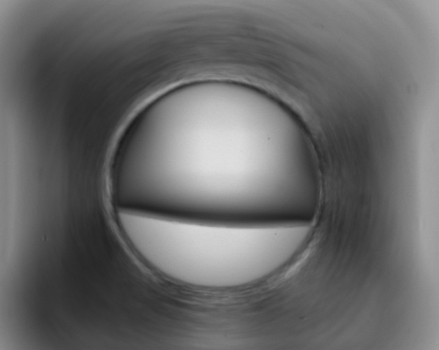 X0000093111517200709260936