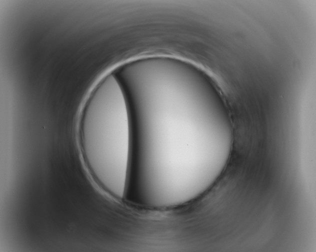 X0000093111519200709260936