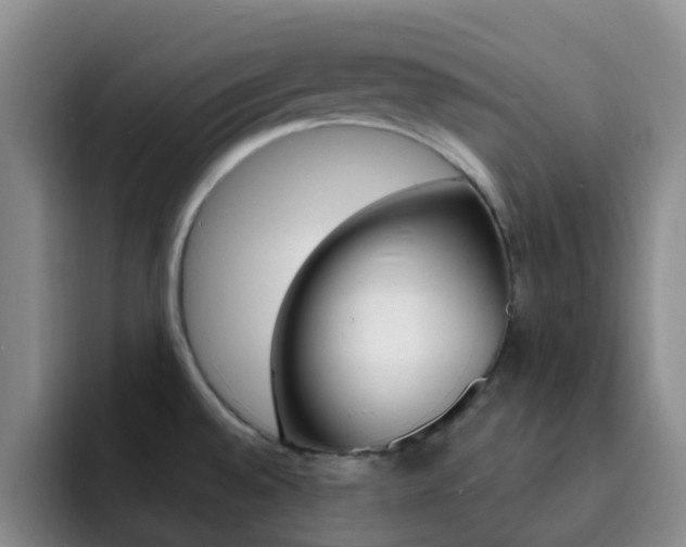 X0000093111528200709260936