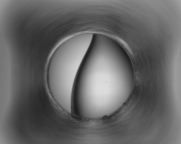 X0000093111530200709260936