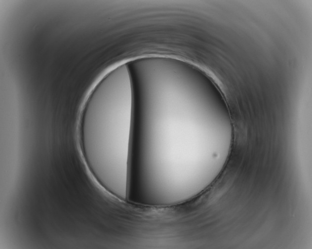 X0000093111531200709260936