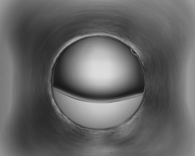 X0000093111534200709260936