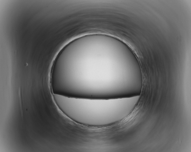 X0000093111535200709260936