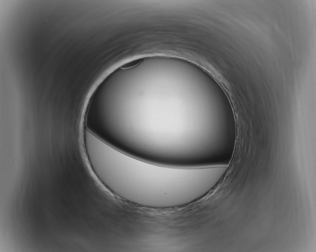 X0000093111536200709260936