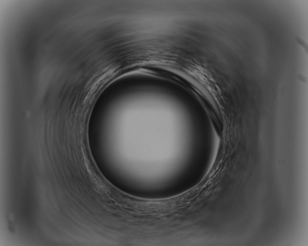 X0000093110001200709261259