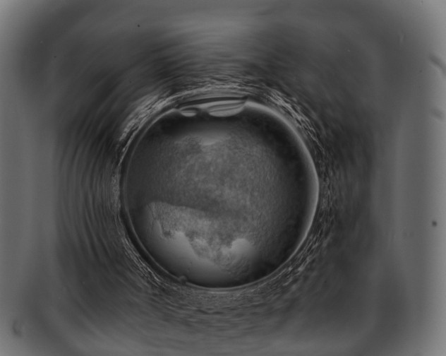 X0000093110002200709261259