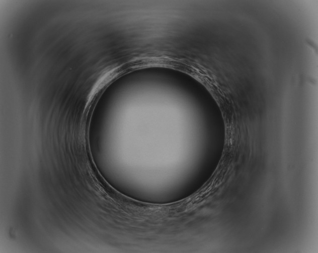 X0000093110004200709261259