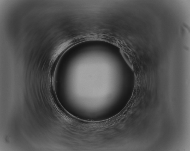 X0000093110005200709261259