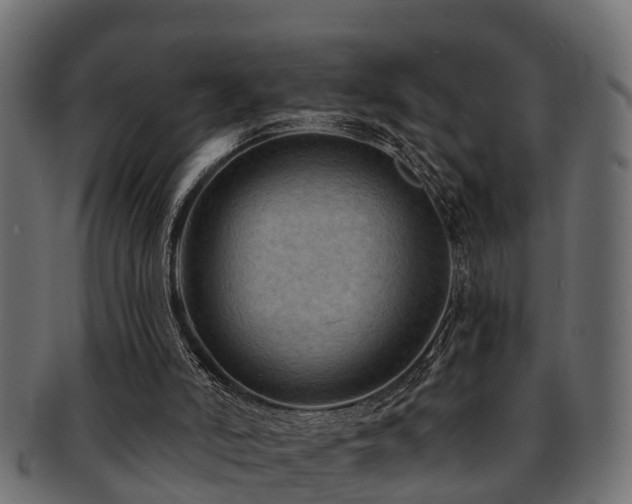 X0000093110006200709261259