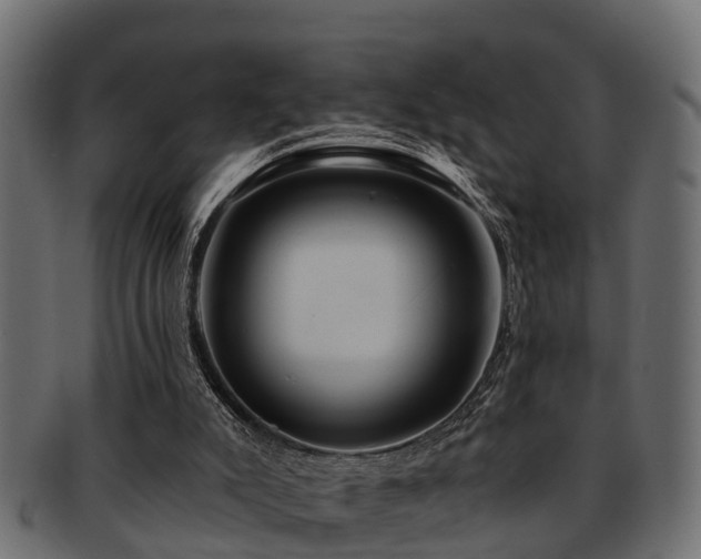 X0000093110007200709261259