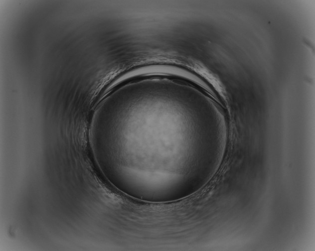 X0000093110009200709261259