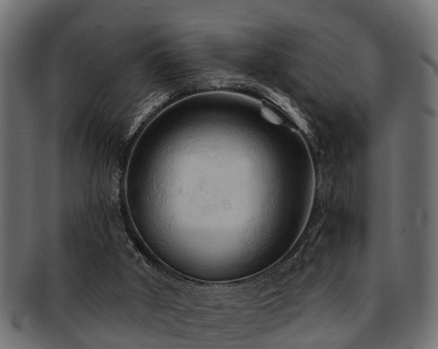 X0000093110010200709261259