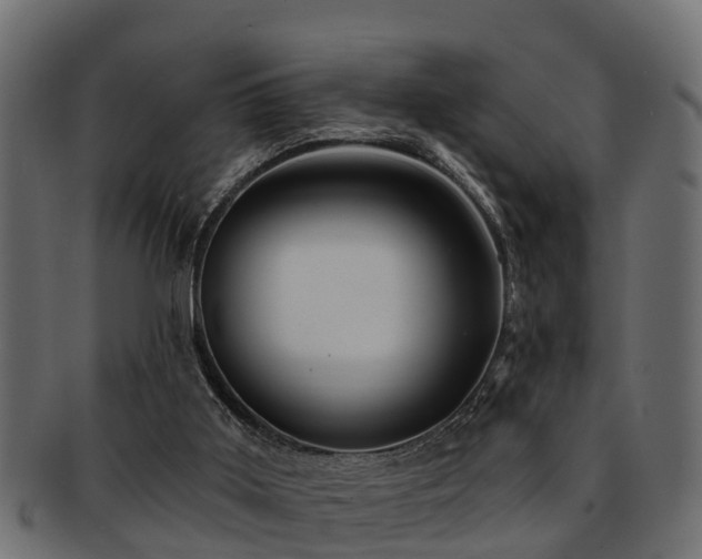 X0000093110011200709261259