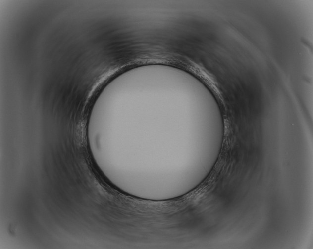 X0000093110012200709261259
