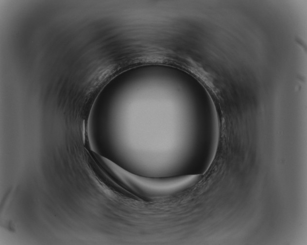 X0000093110013200709261259