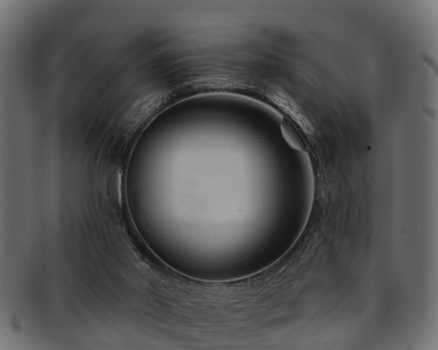 X0000093110014200709261259