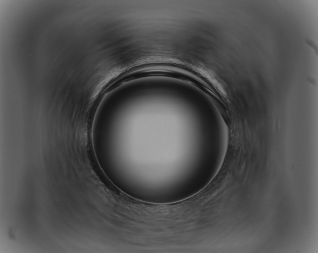 X0000093110015200709261259