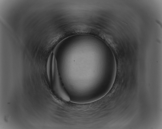 X0000093110017200709261259