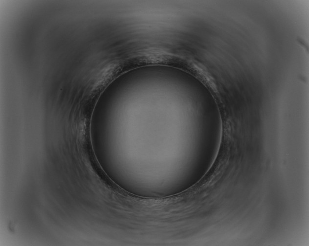 X0000093110018200709261259
