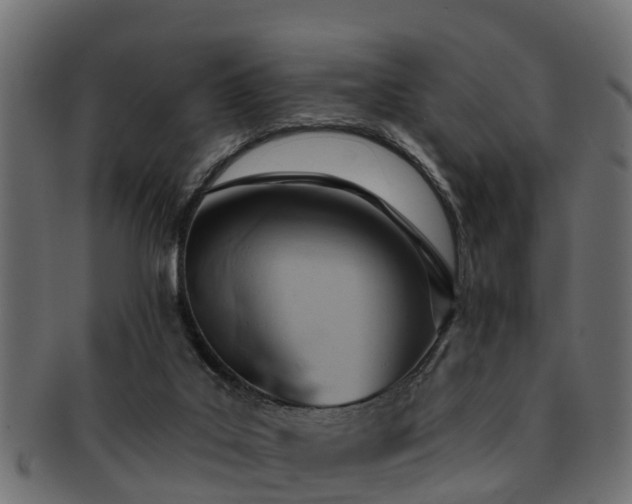 X0000093110019200709261259