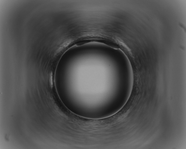 X0000093110020200709261259