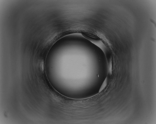X0000093110021200709261259