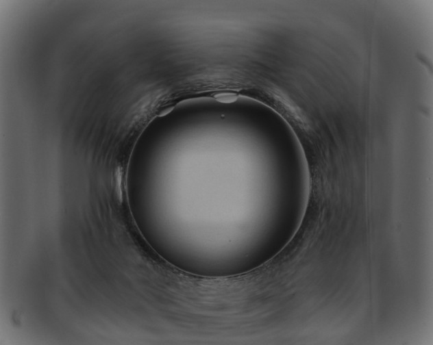 X0000093110022200709261259