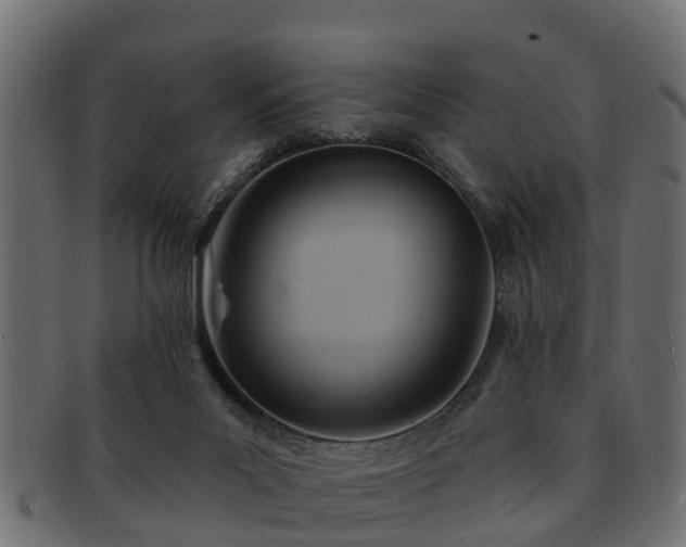 X0000093110023200709261259