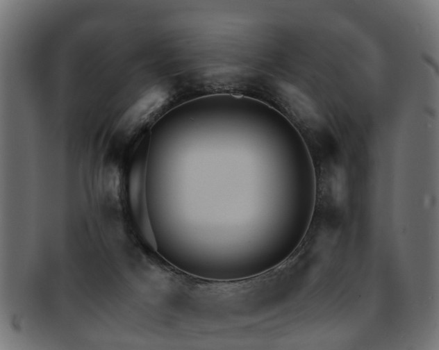 X0000093110025200709261259