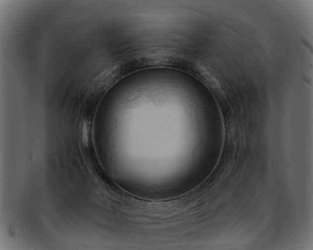 X0000093110026200709261259